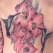 Tattoos - New school illustrative Gladious flowers with hummingbirds - 93226